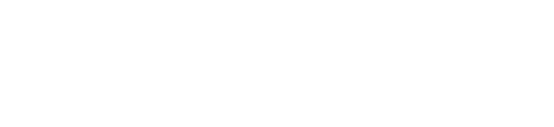 Dragonfly Energy Corporate Site